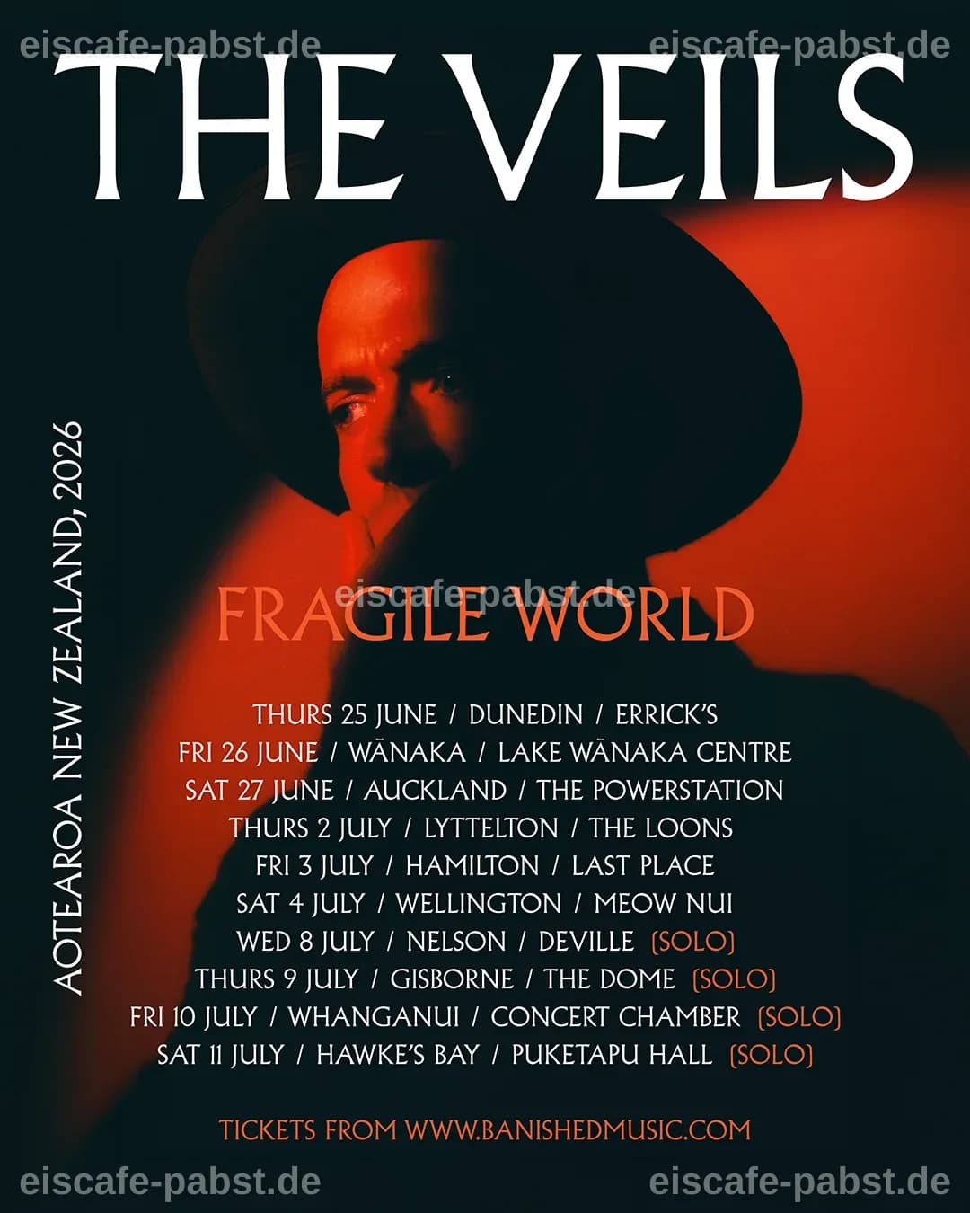 The Veils – Fragile Welt: Eine musikalische Reise durch die Midlife-Krise