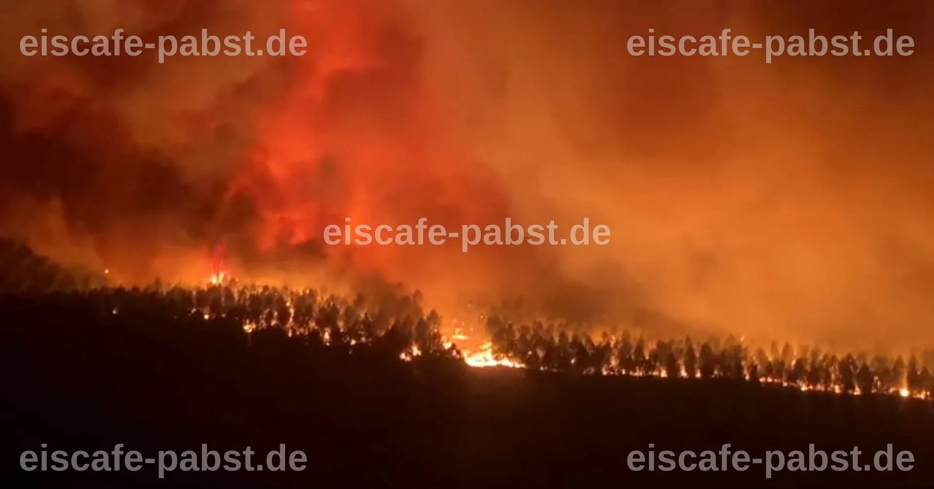 Evakuierungen in Frankreich und Spanien: Hunderttausende fliehen vor verheerenden Waldbränden