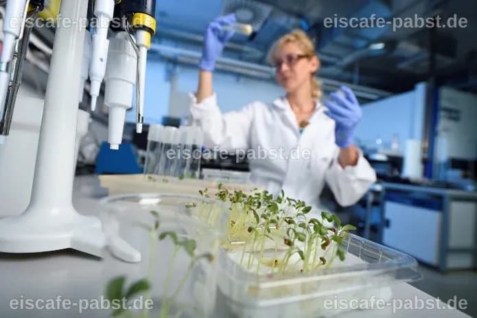 Die umstrittene Rolle des AIT in der Grenztechnologieforschung